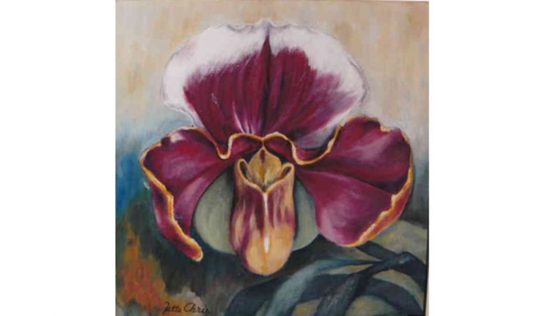 Bild von Jette Christiansen