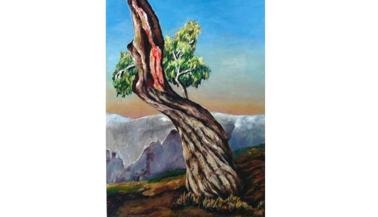 Bild von Jette Christiansen