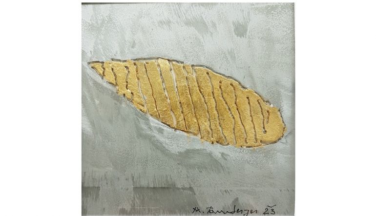 Bild von Meinhard Taumberger