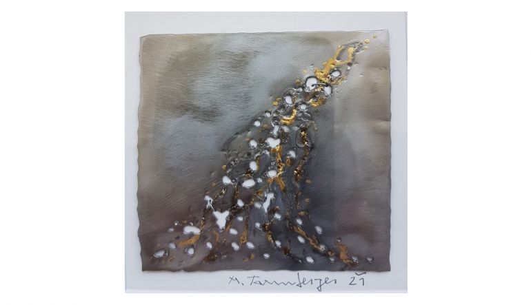 Bild von Meinhard Taumberger